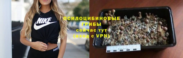 метадон Богородицк