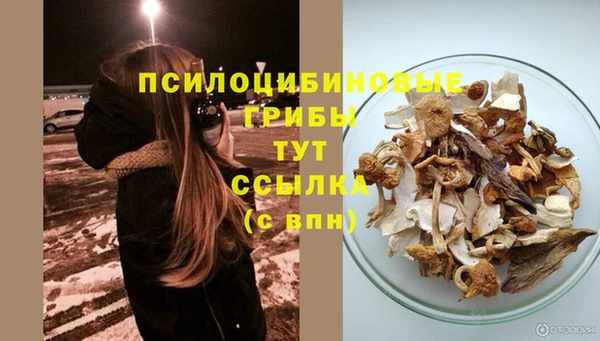 метадон Богородицк