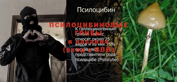 кокаин колумбия Богданович