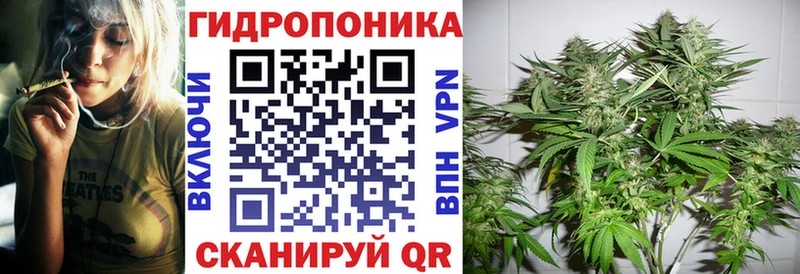 Шишки марихуана сатива Духовщина